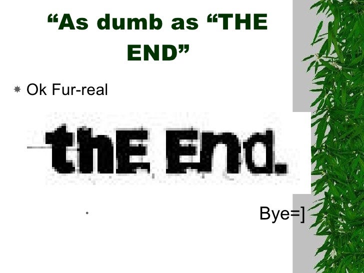 As dumb as simile